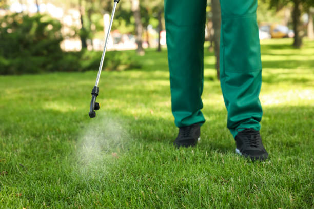 Best Best Pest Control Companies  in White City, FL