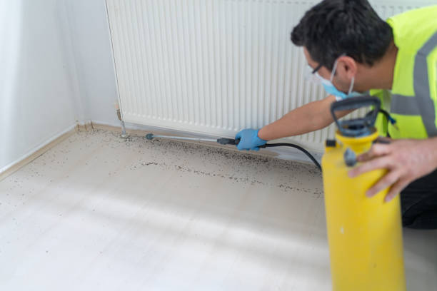 White City, FL Pest Control Company